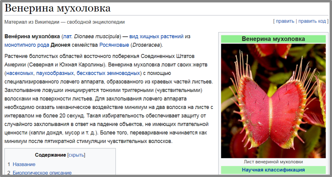 Скрин сделан автором канала