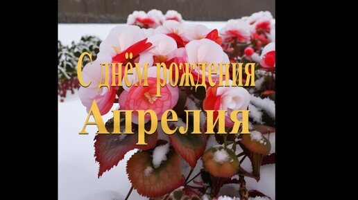 С днём рождения Апрелия