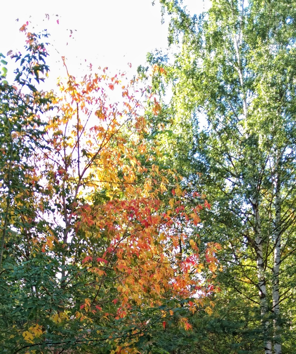 До встречи, тёплые деньки...