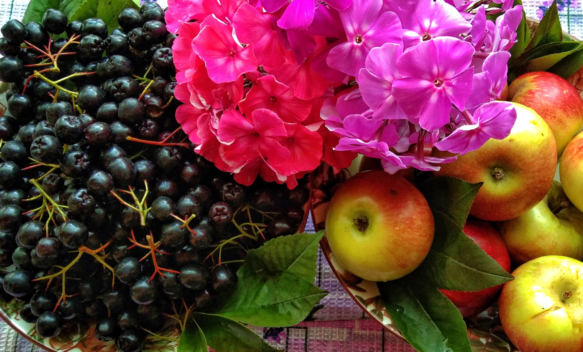 С подарками осень пришла...