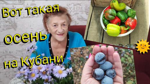 Video herunterladen: Влоги с Юга 🌹 Вот такая ОСЕНЬ на Кубани 🧡🌞😃