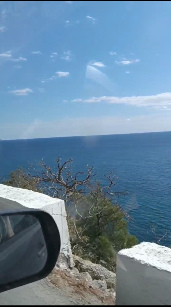 Фото автора. Новый Свет.