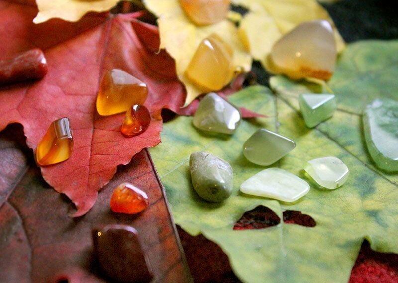 Фото из Интернета. 