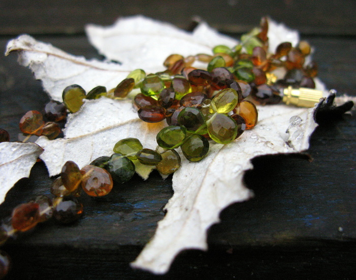 Фото из Интернета.