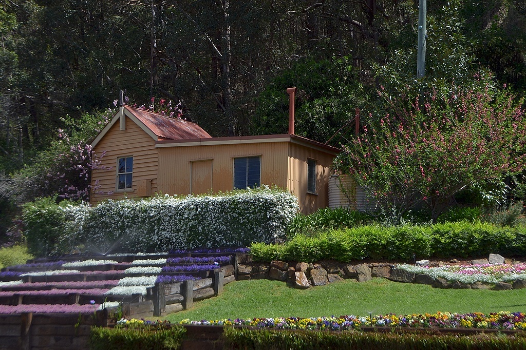 Железнодорожная станция Спринг-Блафф, фото (как и последующие) - из семейного архива