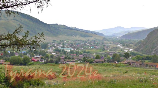 Косогор в июле 2024