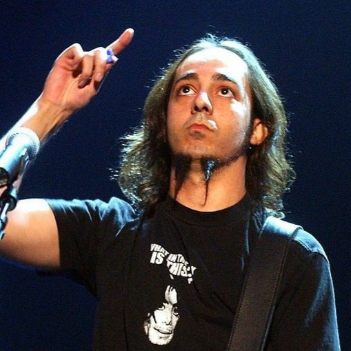 Daron Malakian гитарист группы System of a Down
