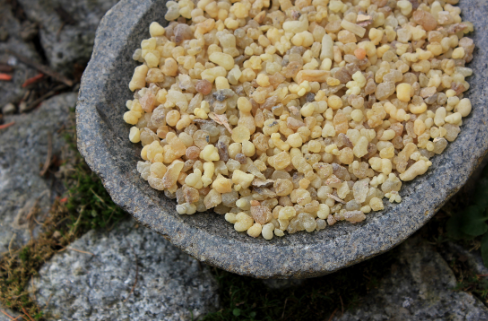 Смола ладана