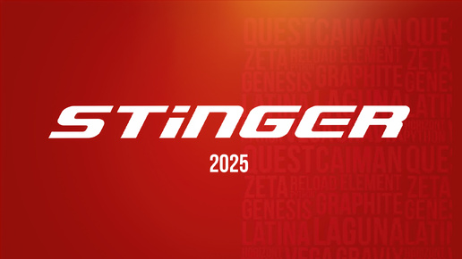 下载视频: Вело конференция Stinger 2025 | Презентация модельного ряда велосипедов Stinger и Foxx 2025 года