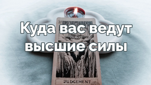 Куда ведут вас высшие силы сейчас и каким путем 😶‍🌫️🔮💫 - расклад таро