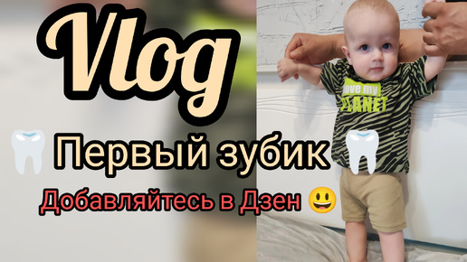 下载视频: У Добрыни прорезался первый зуб 🦷Выходные 😃