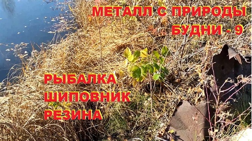 Металл с природы. Рыбалка, шиповник, резина. Будни металлиста - 9.