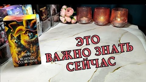 Что важно знать сейчас🔥🦋таро