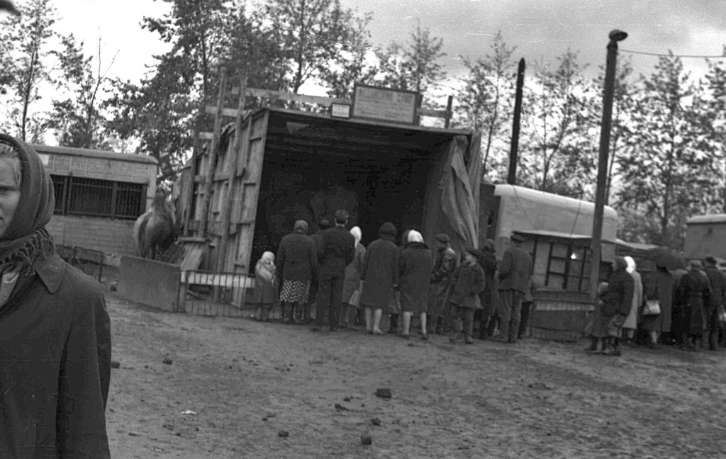 Посещение передвижного зооцирка в Бузулуке, 22 сентября 1963 года