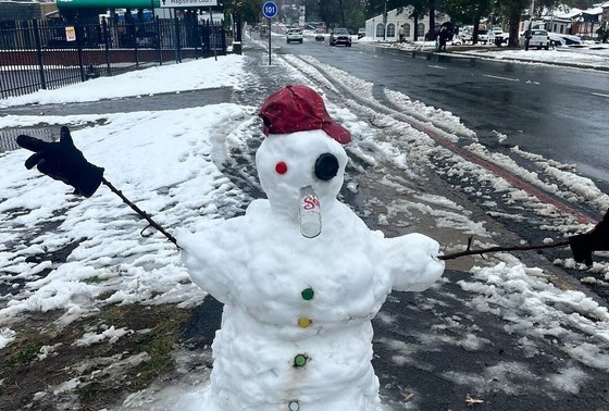    В Южной Африке выпал снег