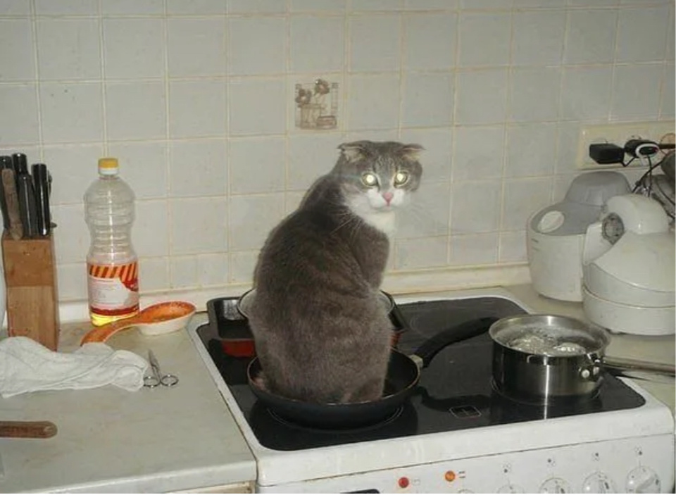 Яндекс картинки просто для обложки. Чем-то напоминает меня в Дзен:))) 