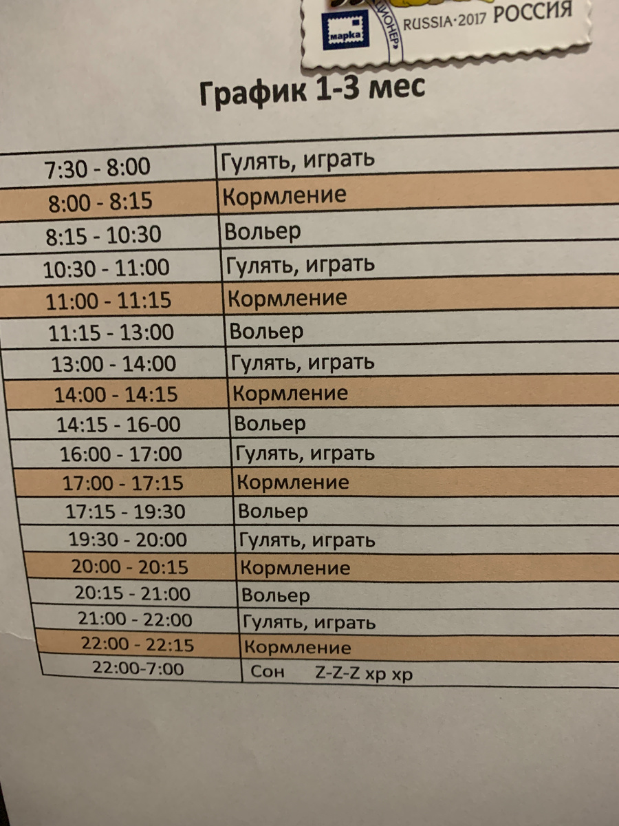 Наше расписание .