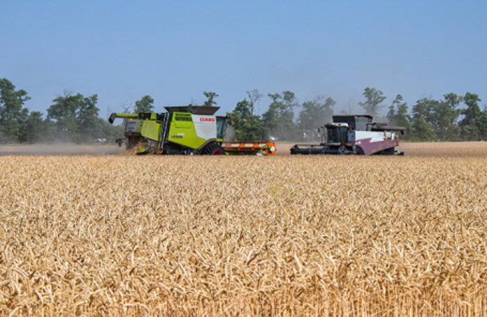    Роман Соколов/ТАСС