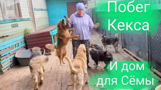 Download Video: Побег Кекса и дом для Сёмушки