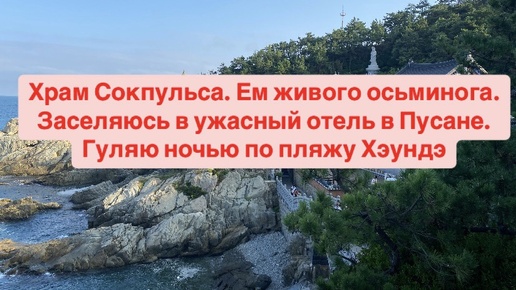 Пусан. Храм Сокпульса. Ем живого осьминога. Заселяюсь в ужасный отель в Пусане. Гуляю ночью по пляжу Хэуендэ