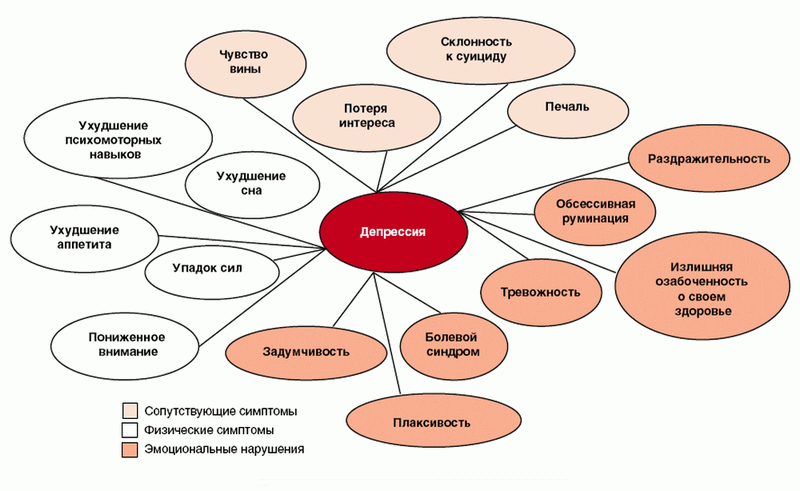 источник: http://vlcpol1.ru/articles/5594/