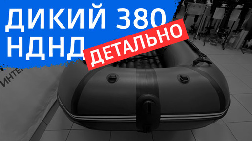 ДИКИЙ 380 НДНД детально