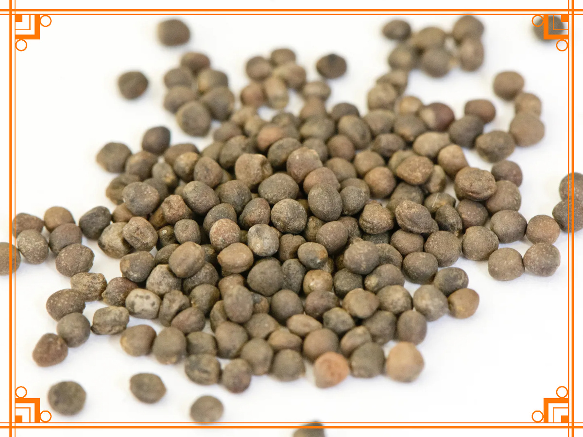 Фото из Интернета. Как выглядят семена цветной капусты