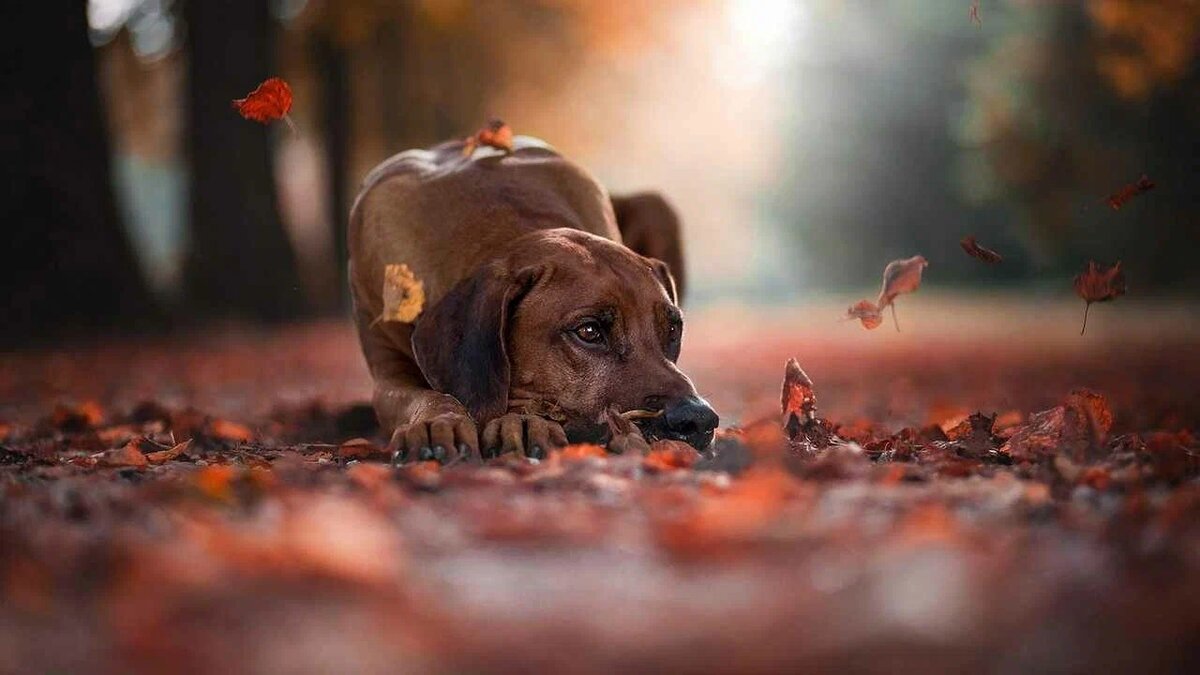 фотоhttps://avatars.mds.yandex.net/get-mpic/5209712/img_id3250992486596633296.jpeg/orig