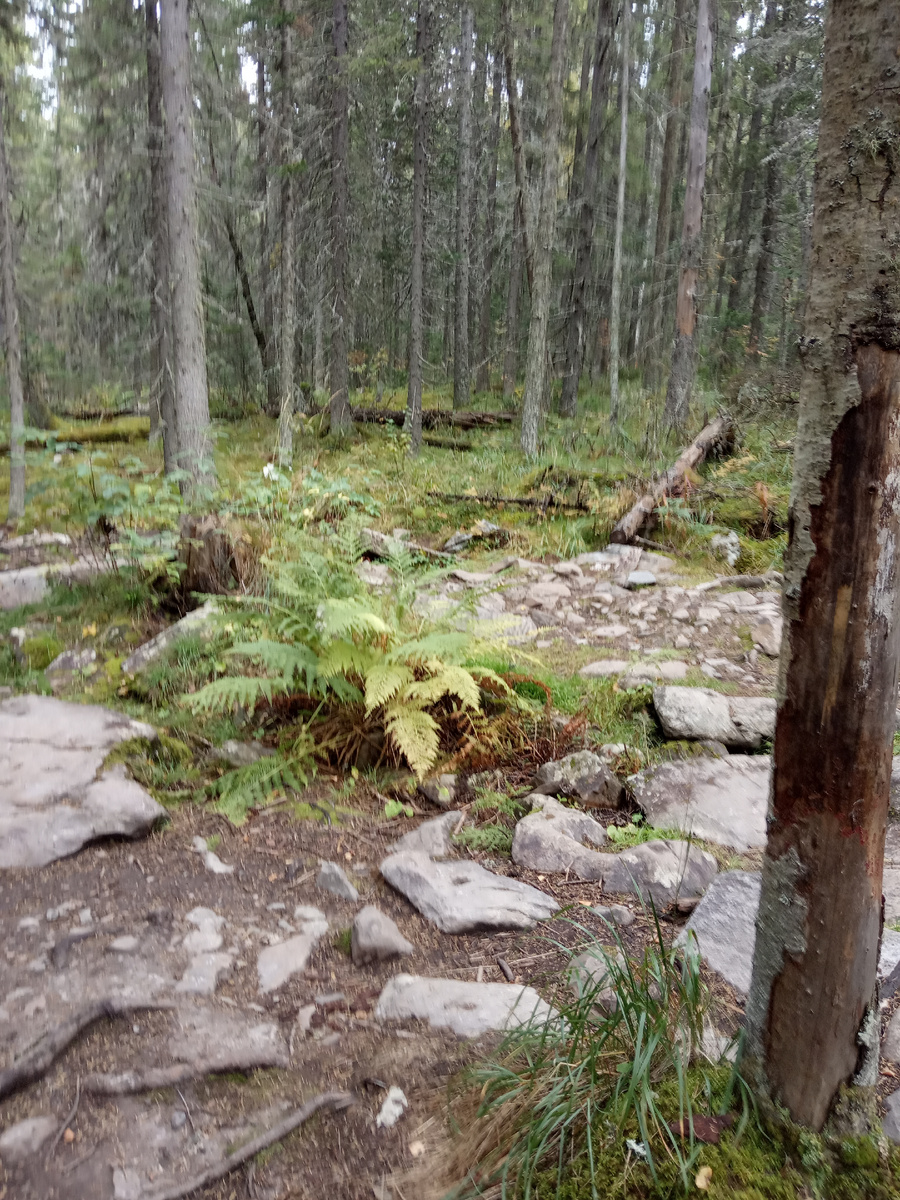 Сухая река . Дорога к горе Иремель 