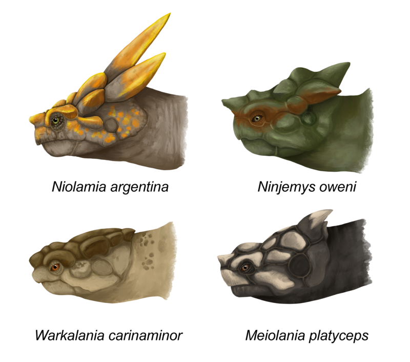 Реконструкция из фонда Викимедиа