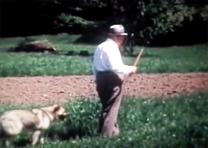 Пенсионер Никита Хрущев