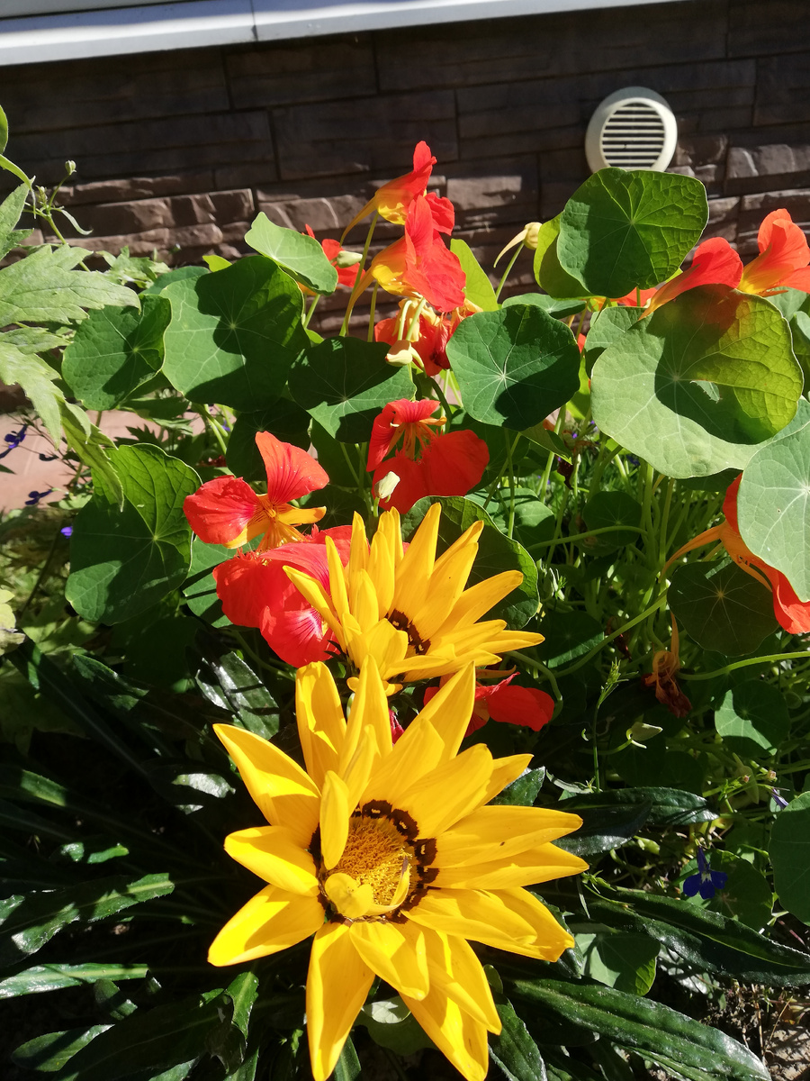 Услада для глаз