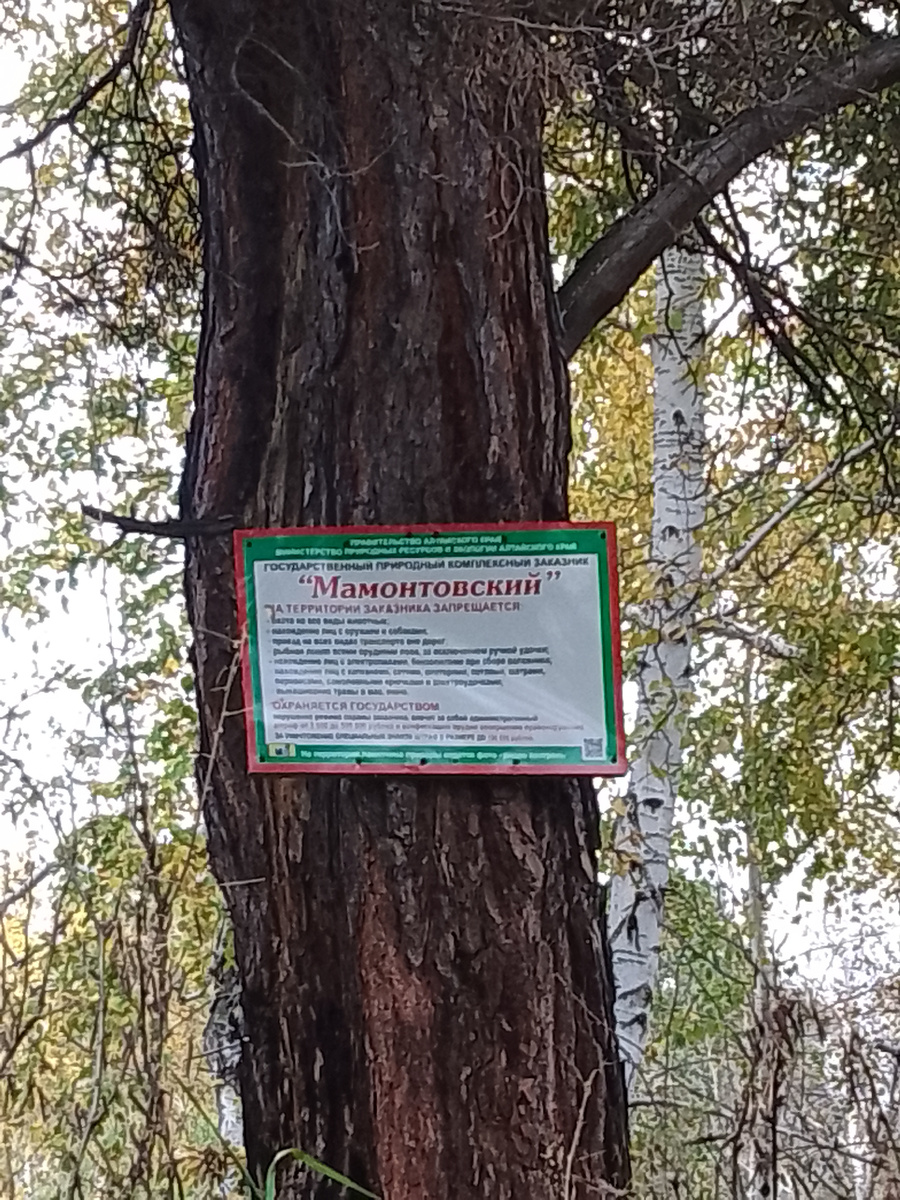 Табличка, видимо, несколько устаревшая. По крайней мере, на ней не указана фамилия снайпера Кочегарова, имя которого носит наш заказник.