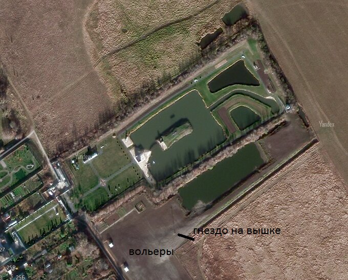 Место действия