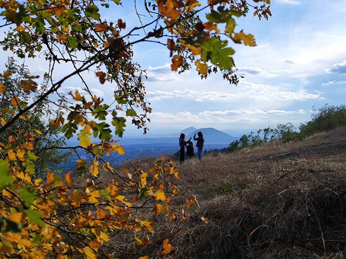 Осень в глаз попала... (сентябрь 2024 года)