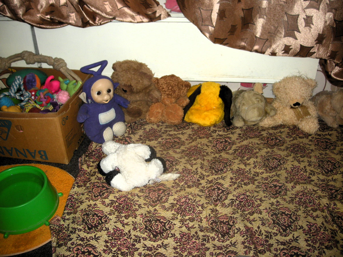 Фото автора