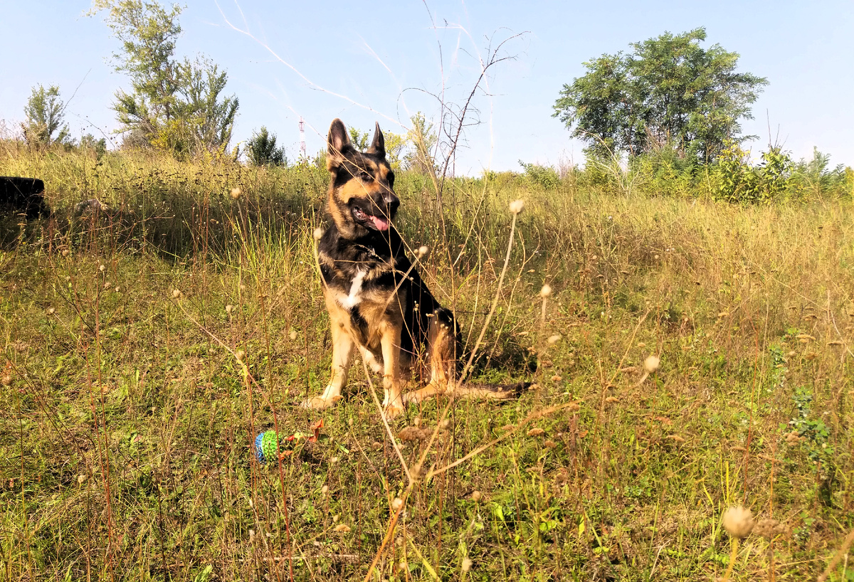 Фото автора