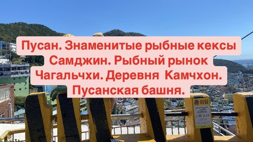 Пусан. Знаменитые рыбные кексы Самджин. Рыбный рынок Чагальчхи. Деревня Камчхон. Пусанская башня.