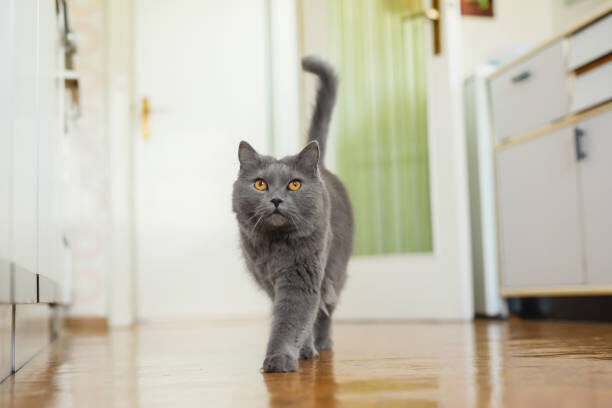 istockphoto
