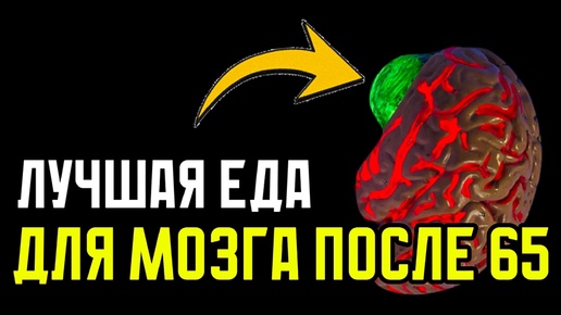 Как пенсинеру не утратить разум и память на старости лет: список продуктов