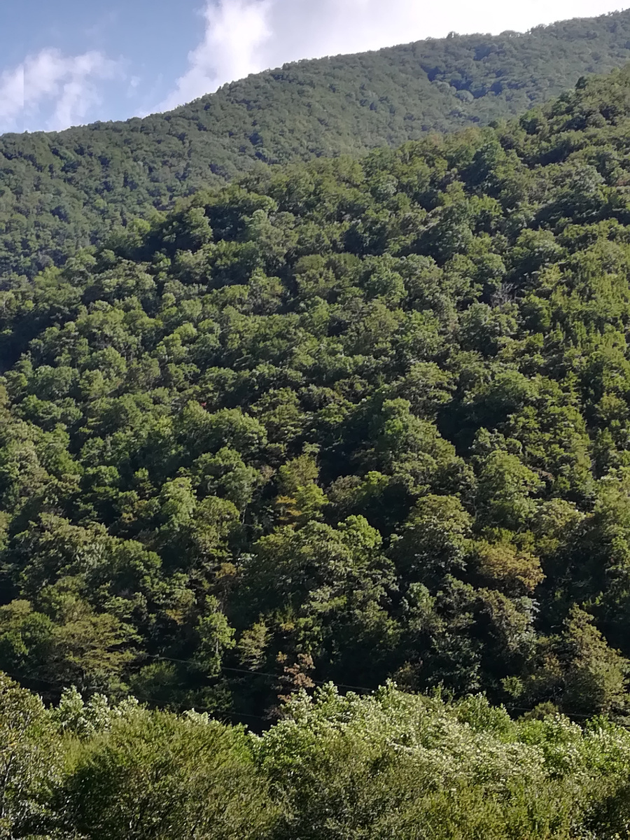 # Кавказские горы.