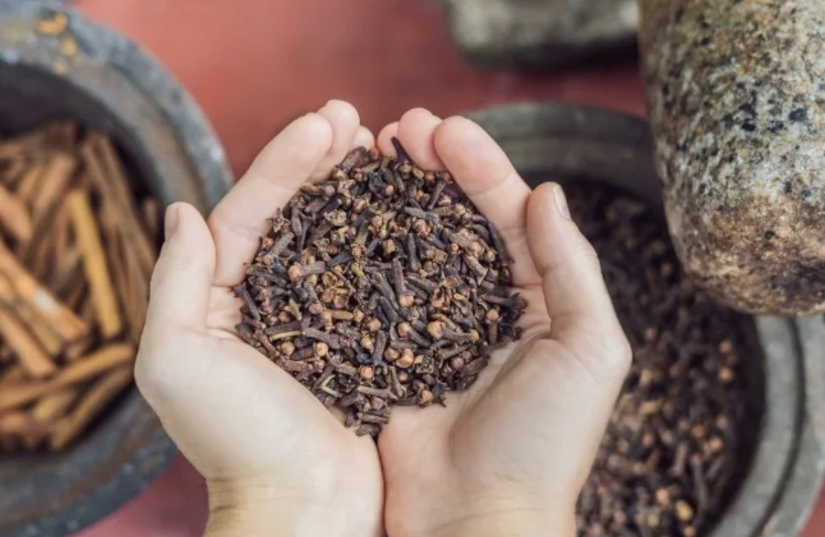 Пряность - сушенная гвоздика