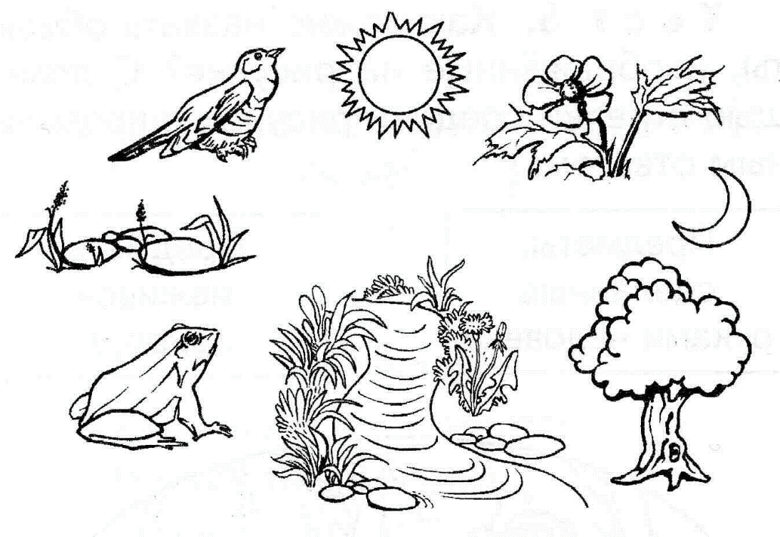 В принципе эта тема разбирается на подобных рисунках в 1 классе на уроках "Окружающего мира". Казалось бы, в чем проблема?