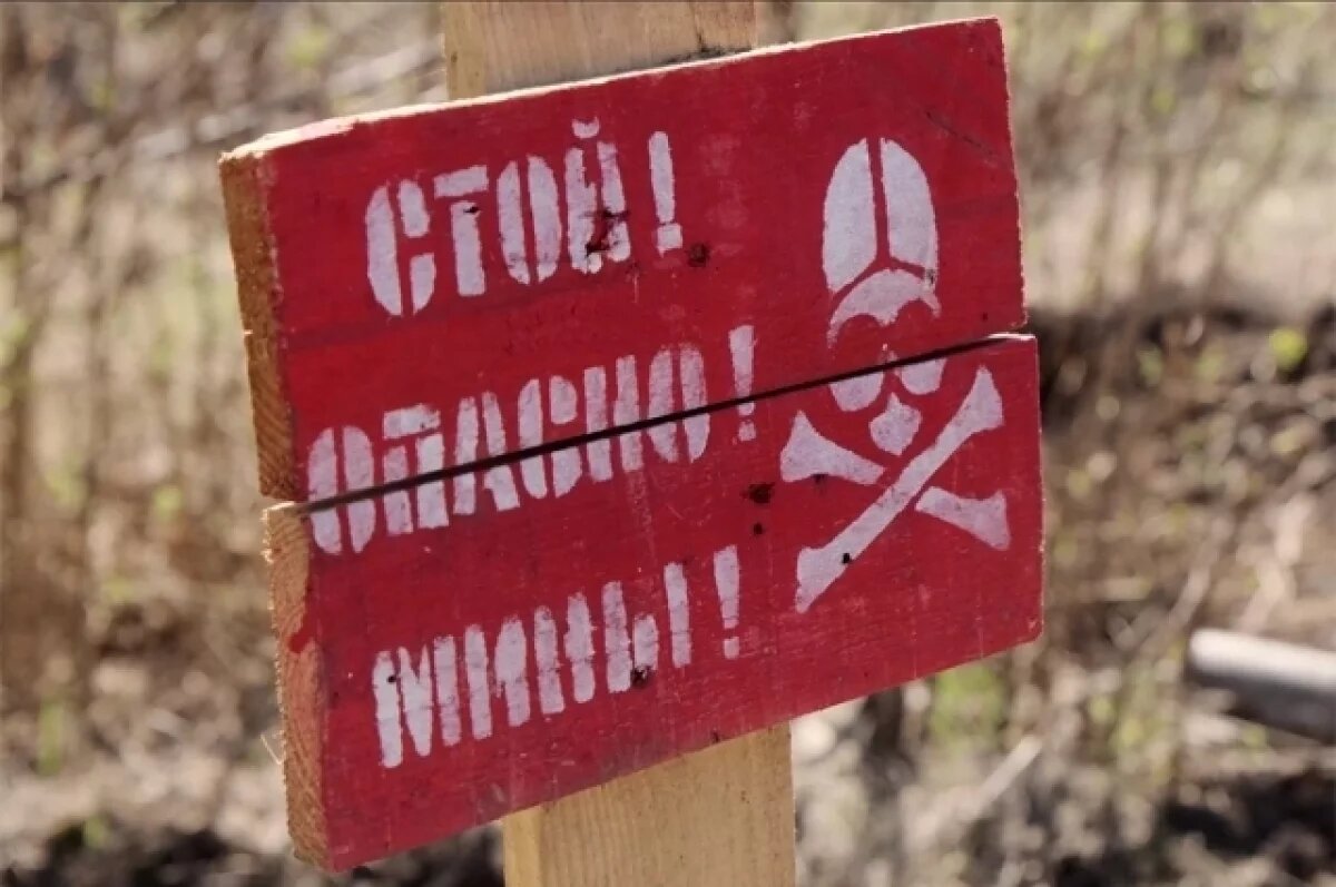    В Тихорецком районе Кубани завершили разминирование после атаки БПЛА