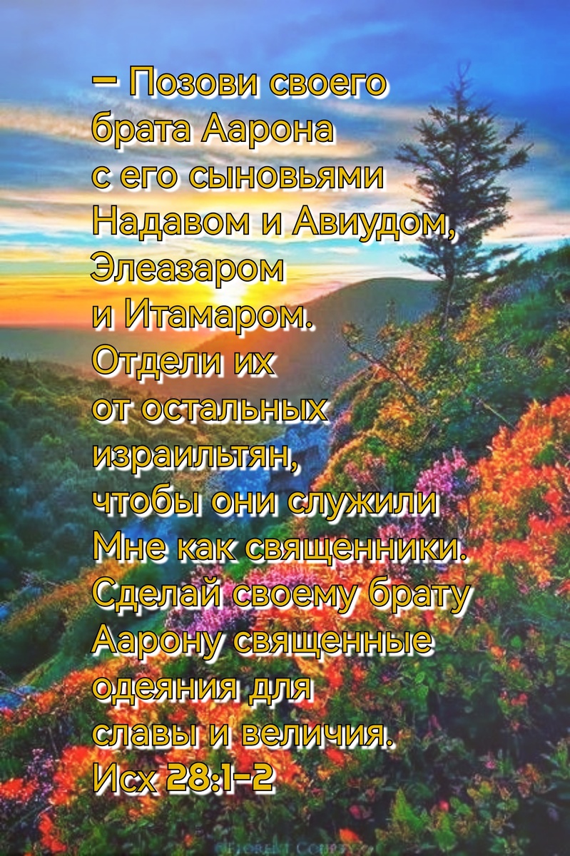 Книга Исход, Глава 28, Стихи 1-2