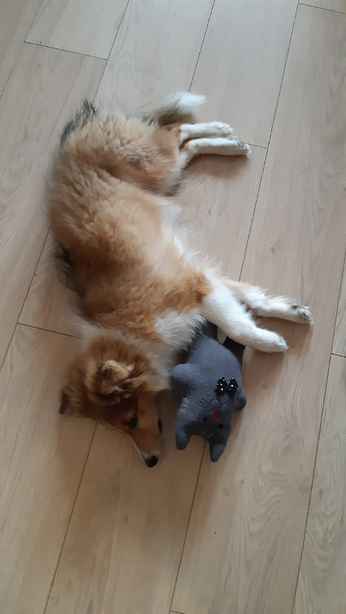 Я с новым котом.