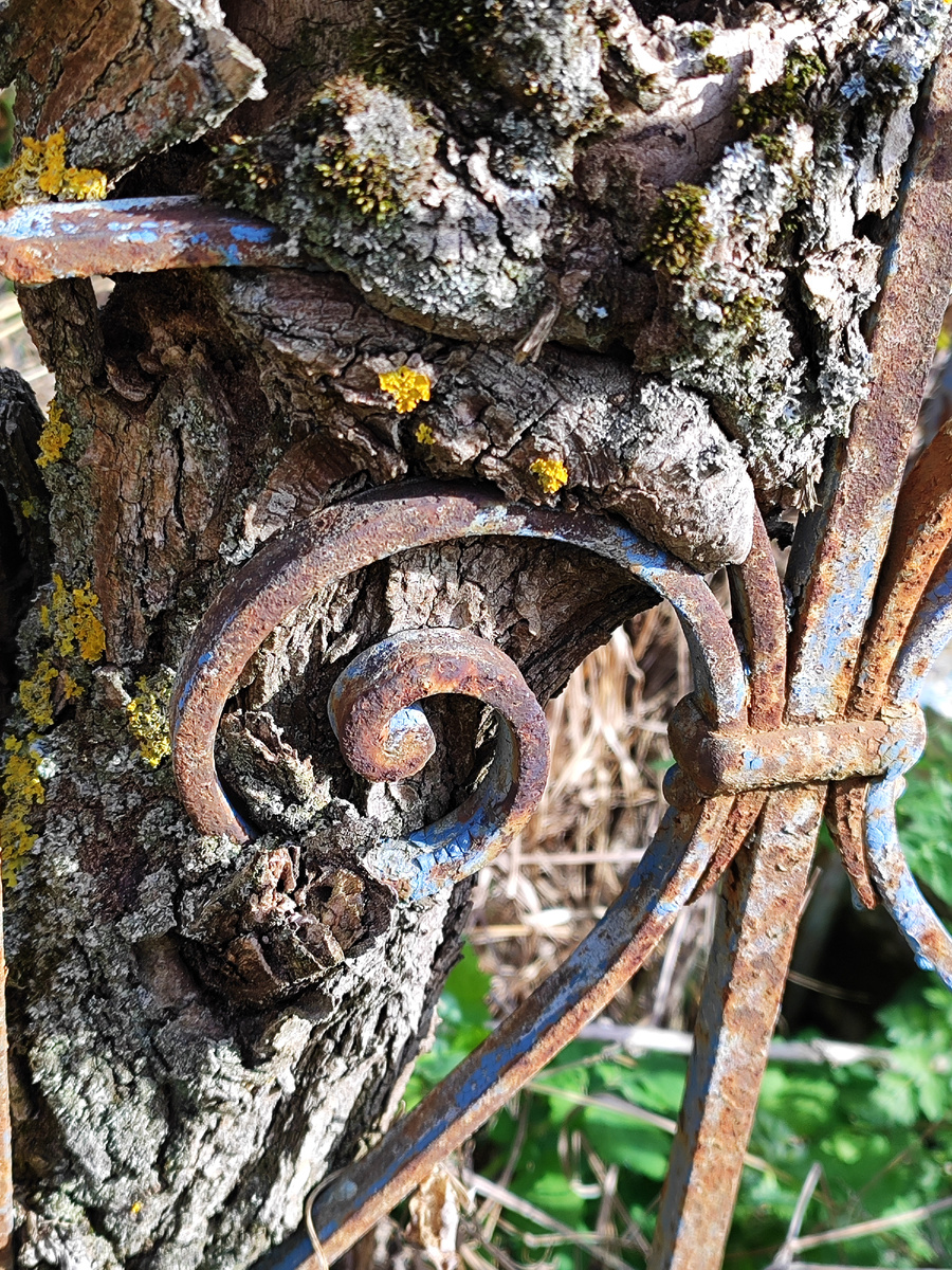 Время беспощадно ко всему земному (апрель 2024 года)