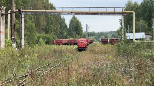 Пожарная дрезина едет задом наперёд, тепловозы ТУ4 на Пищальской УЖД