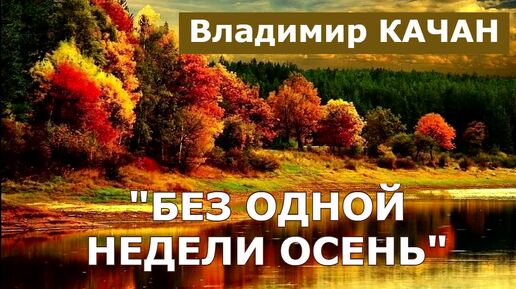 Владимир Качан 