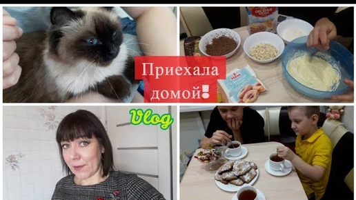 VLOG: ПРИВЕЗЛИ КОШЕЧКУ!/ ПОКРАСИЛА ВОЛОСЫ/ ПЕКУ ОВСЯНОЕ ПЕЧЕНЬЕ/ ПОКУПКИ ЕДЫ/ ЗАНЯТИЯ С РЕБЕНКОМ